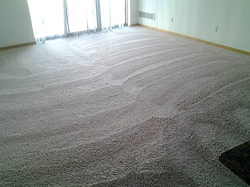 professional carpet cleaning