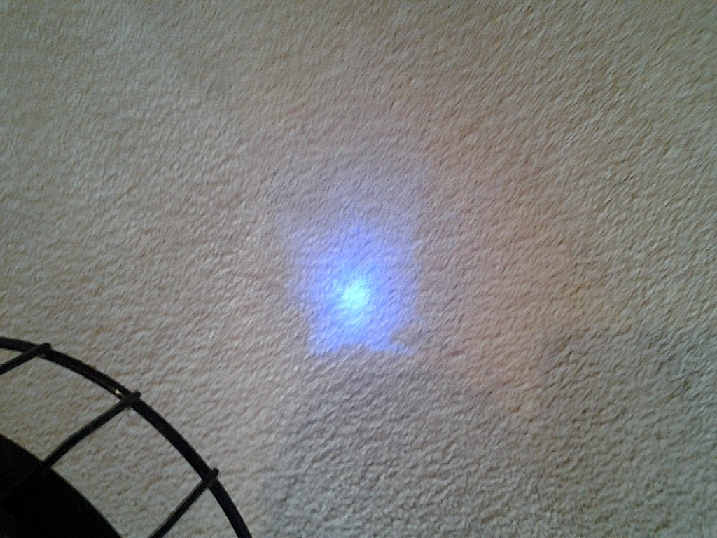 Carpet Cleaning