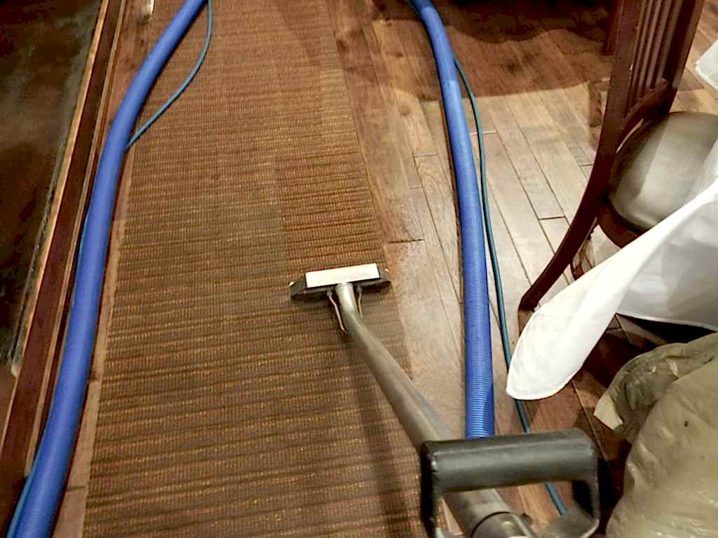 Carpet Cleaning