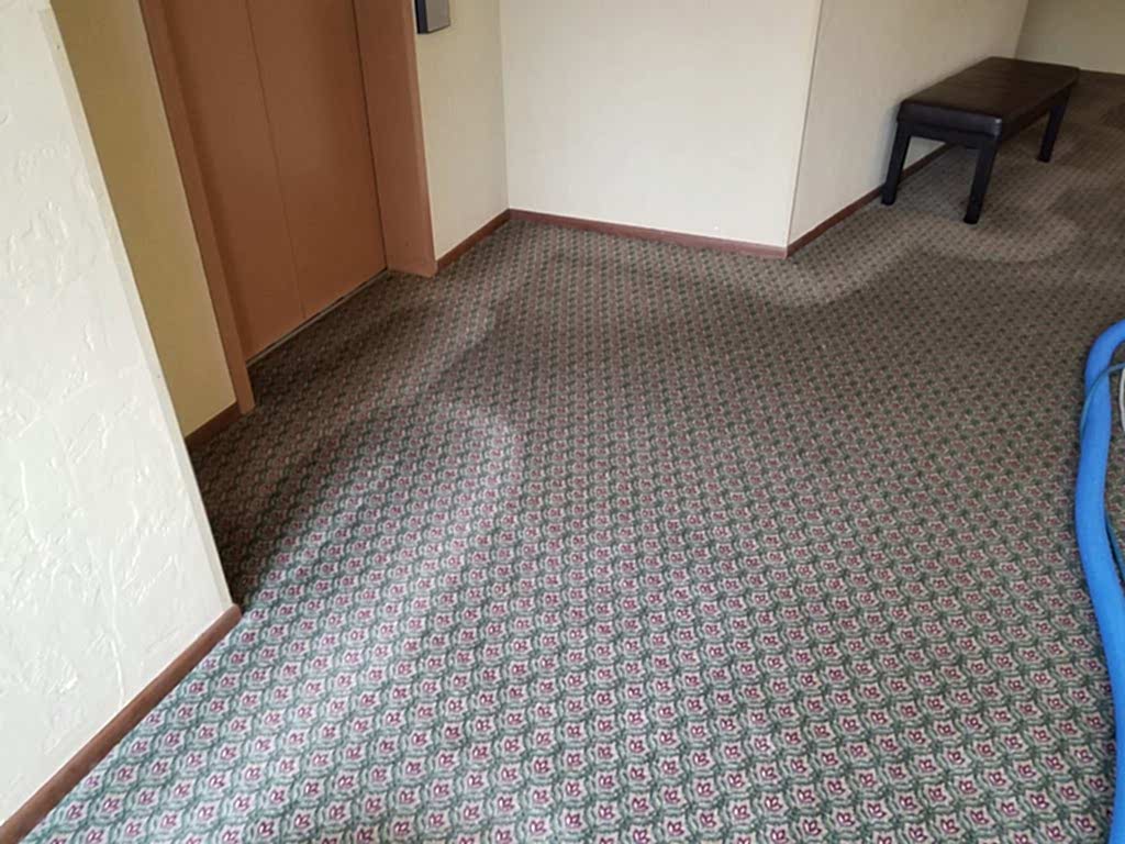 Carpet Cleaning