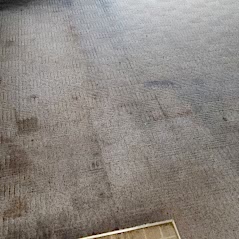 Carpet Cleaning