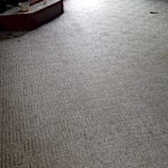 Carpet Cleaning