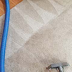 Steam cleaning - carpet cleaning