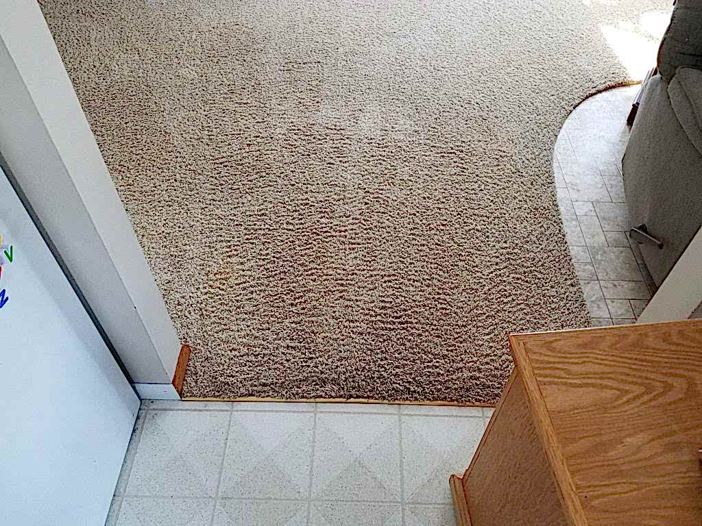 Dining room entry carpet cleaning